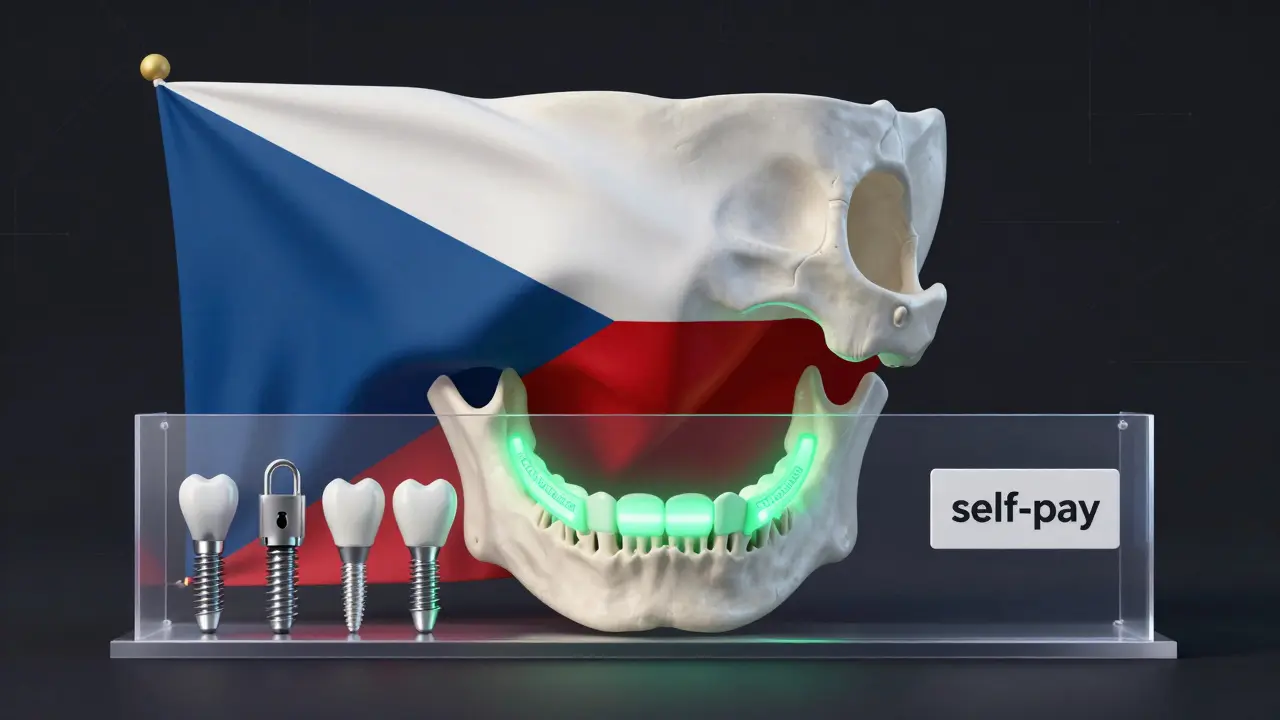 Stylizovaná česká vlajka s čelistí a zdarma zubními službami v zelené světlosti.